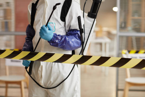 Professional Hoarding Cleanup technician working in Danciger, TX